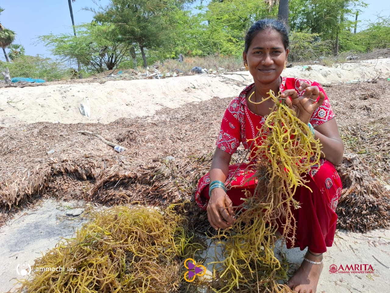 Seaweed Cultivation