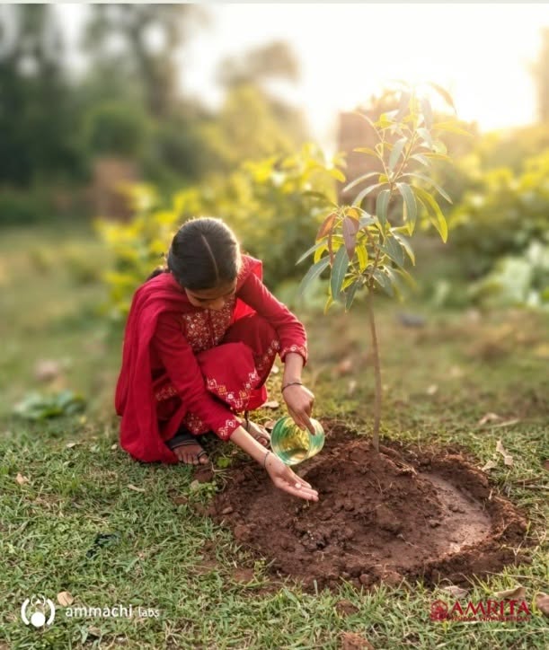 World Environment Day 2026