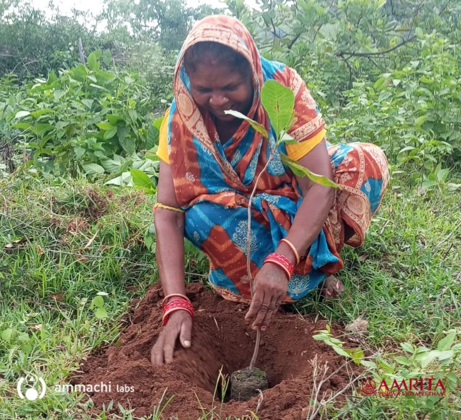 World Environment Day 2026