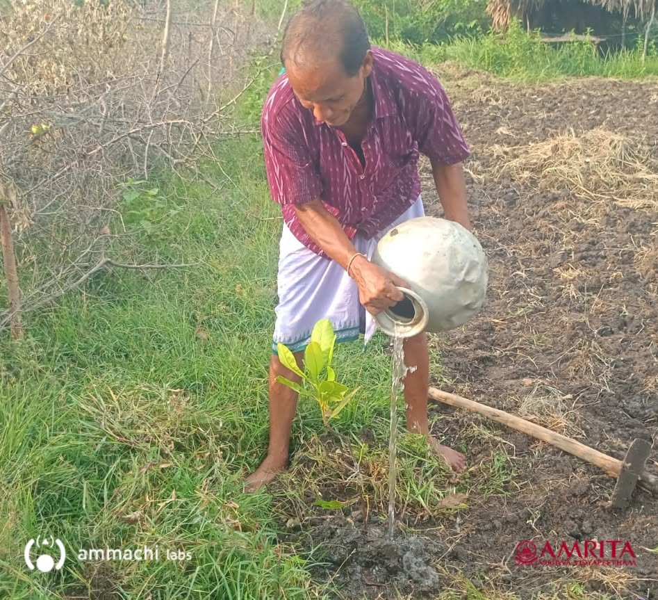 World Environment Day 2026