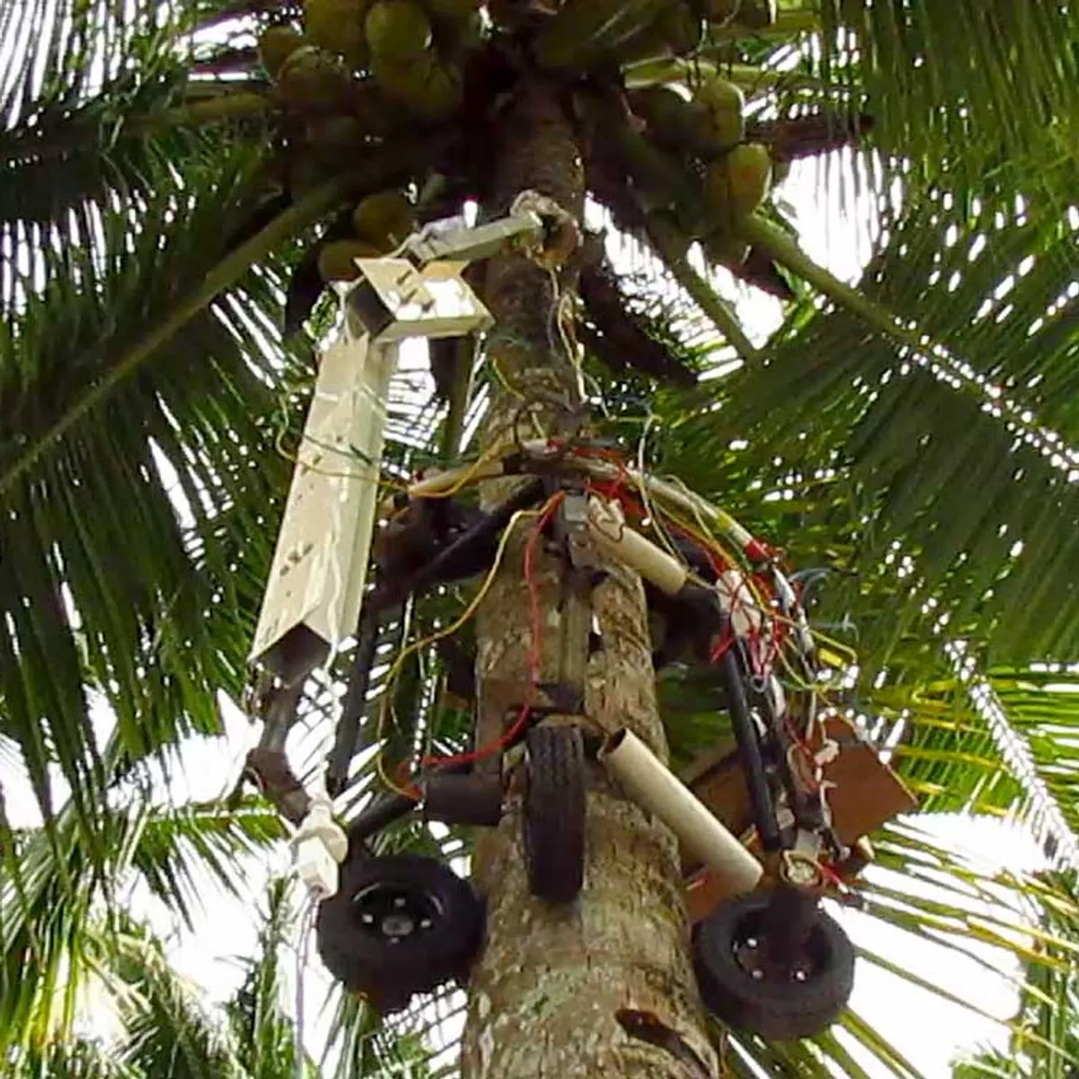 A System and a Method Thereof to Control a Robotic Machine for Climbing and Harvesting Coconut Trees Using Mobile Devices