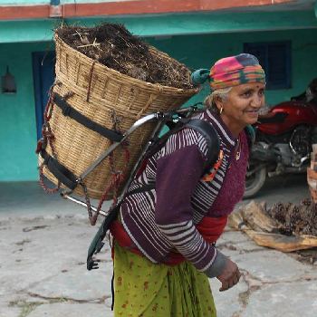 A Wearable Apparatus for Assisting Collection of Plucked Tea Leaves