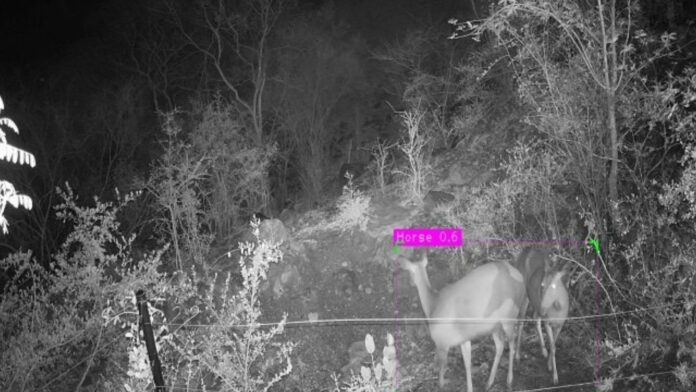 Farmer Safety and Human–Wildlife Conflict Mitigation